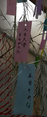 tanabata201705.jpg